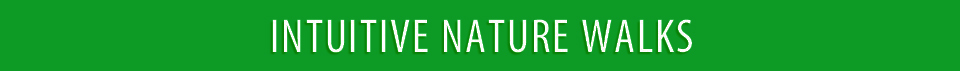 INTUITIVE-NATURE-WALKS-OAKLAND-CA